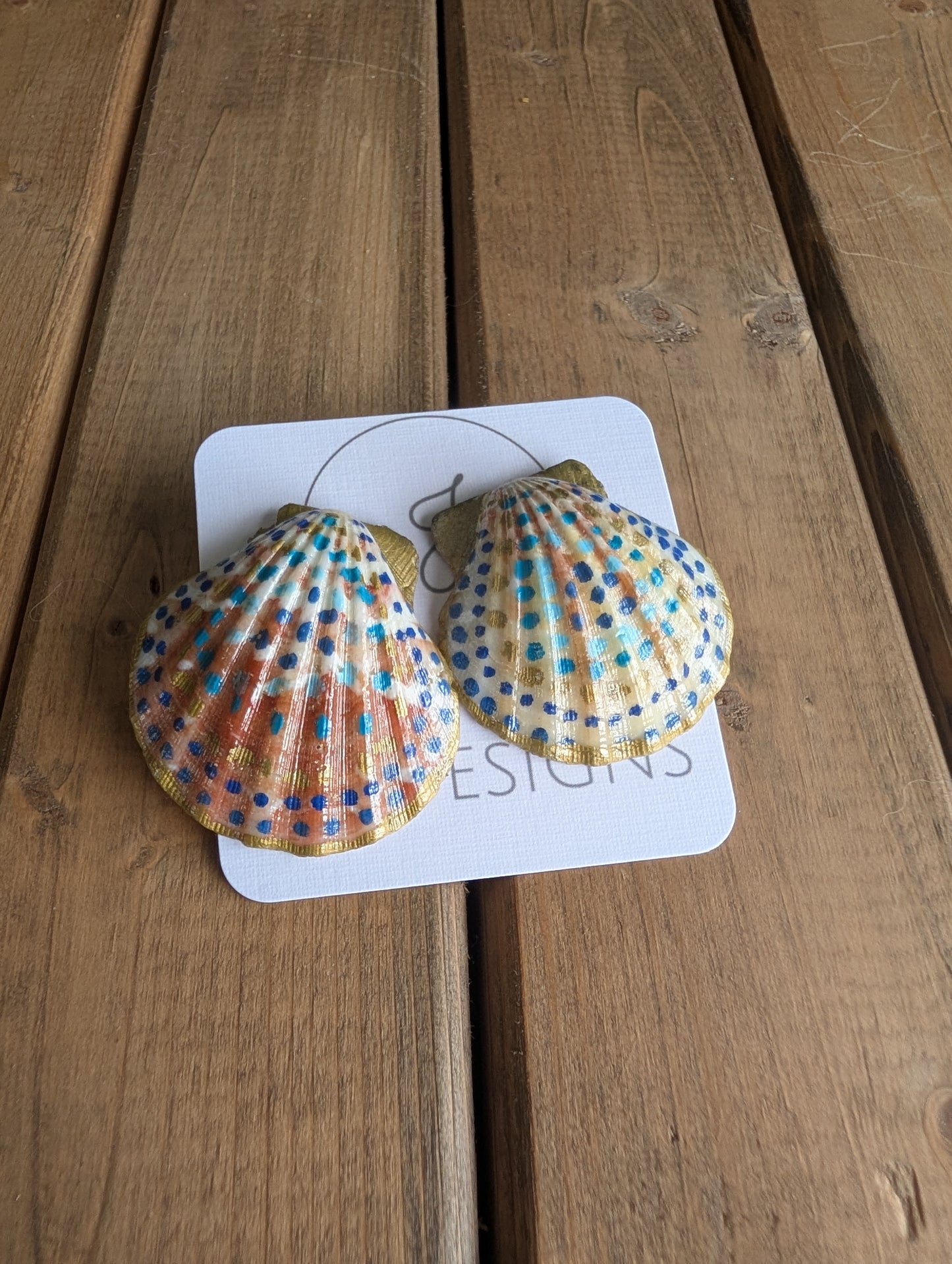 Seashell Earrings