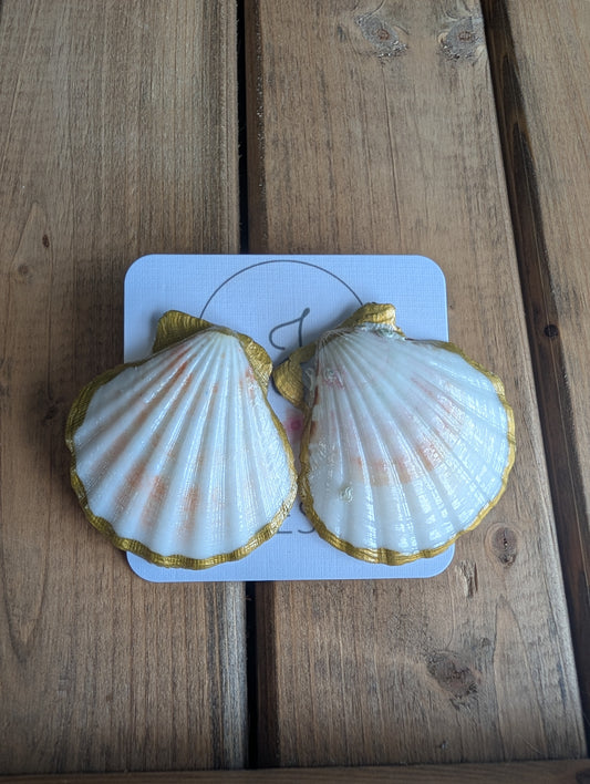 Seashell Earrings