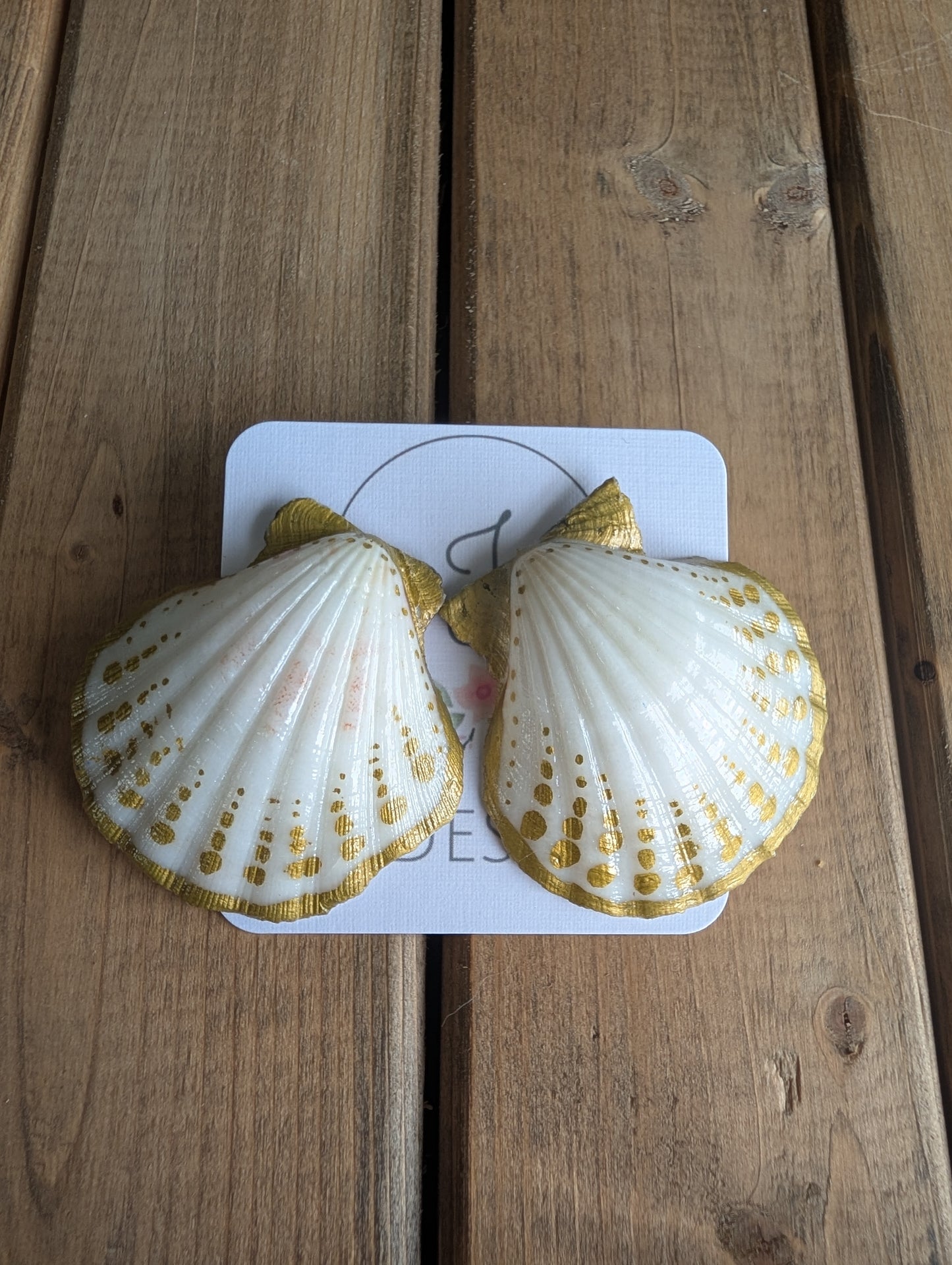 Seashell Earrings