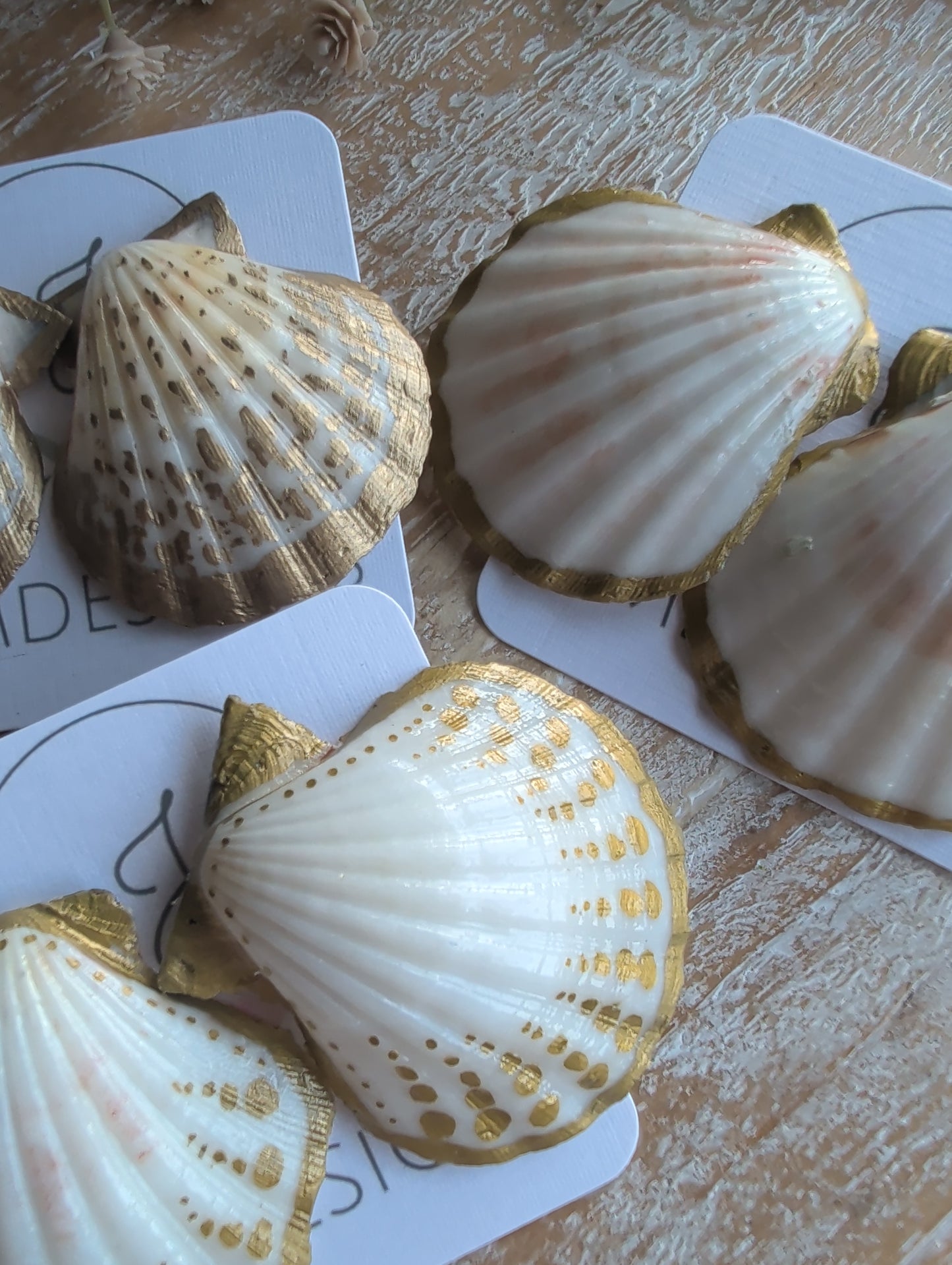 Gold Accent Seashell Earrings