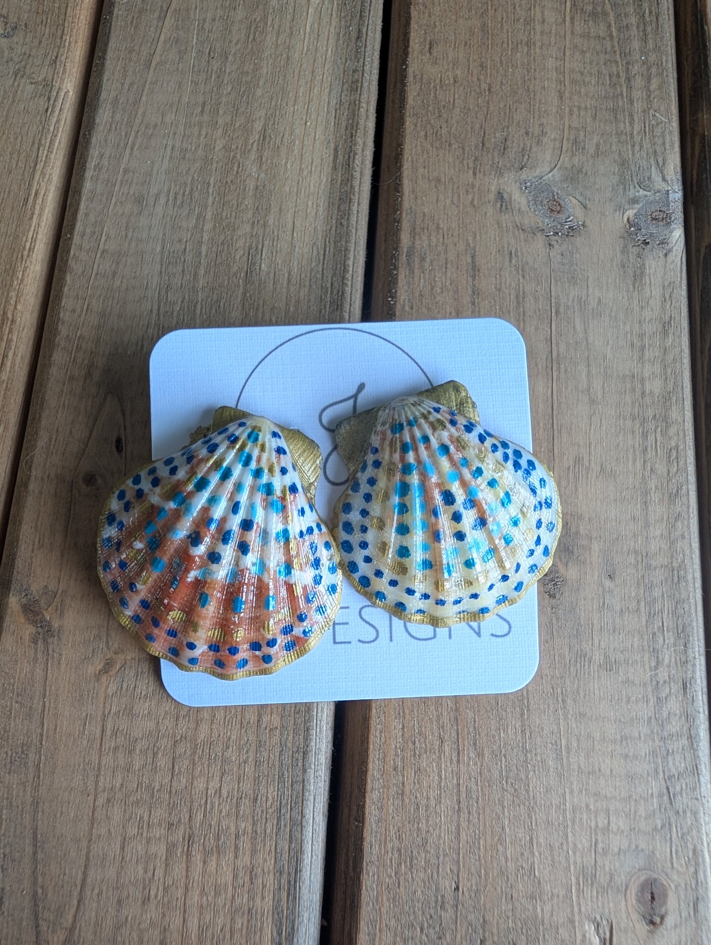 Seashell Earrings