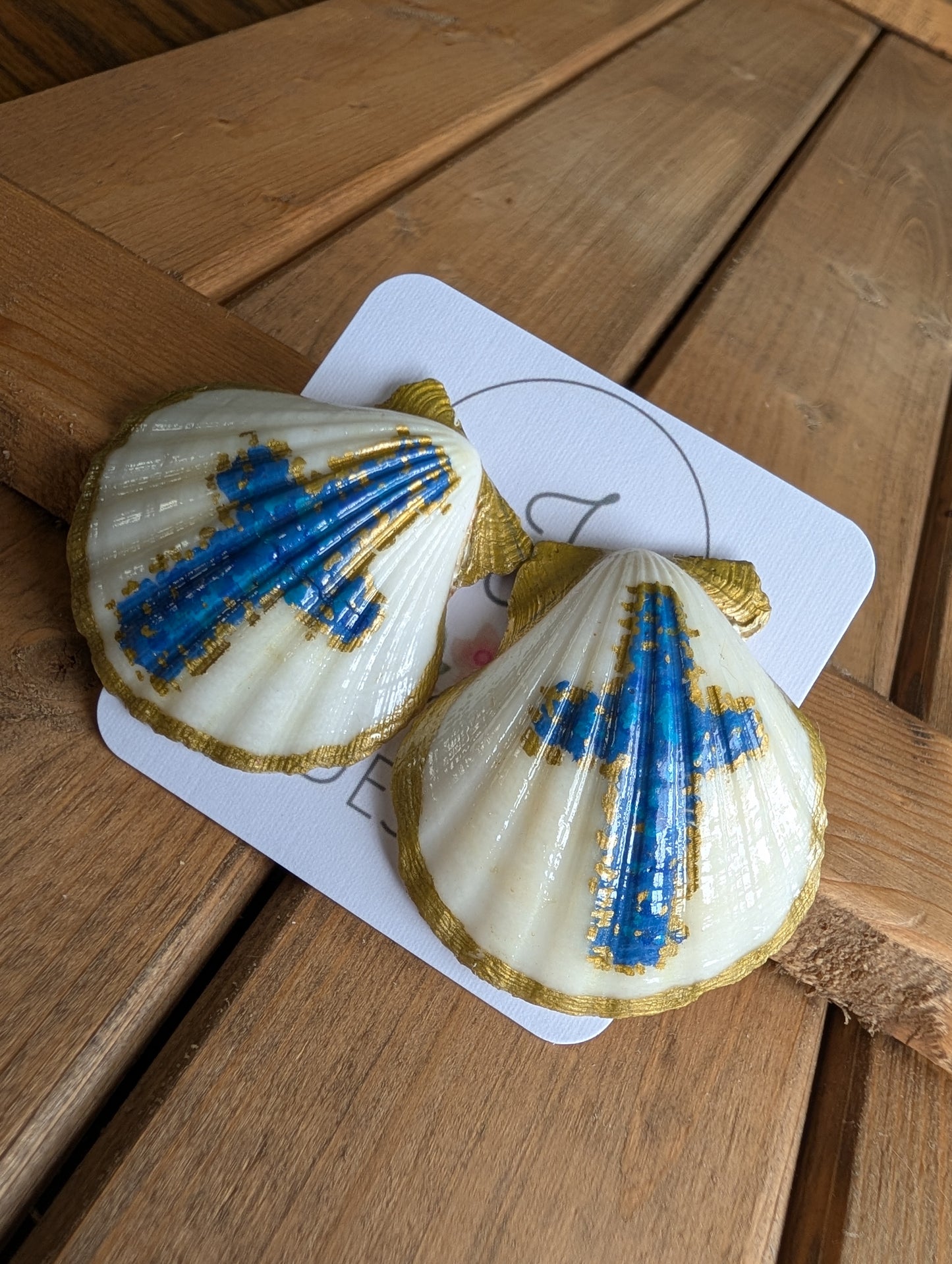 Seashell Earrings