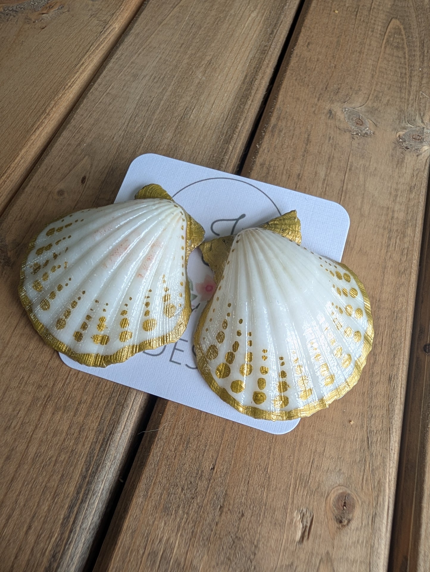 Seashell Earrings