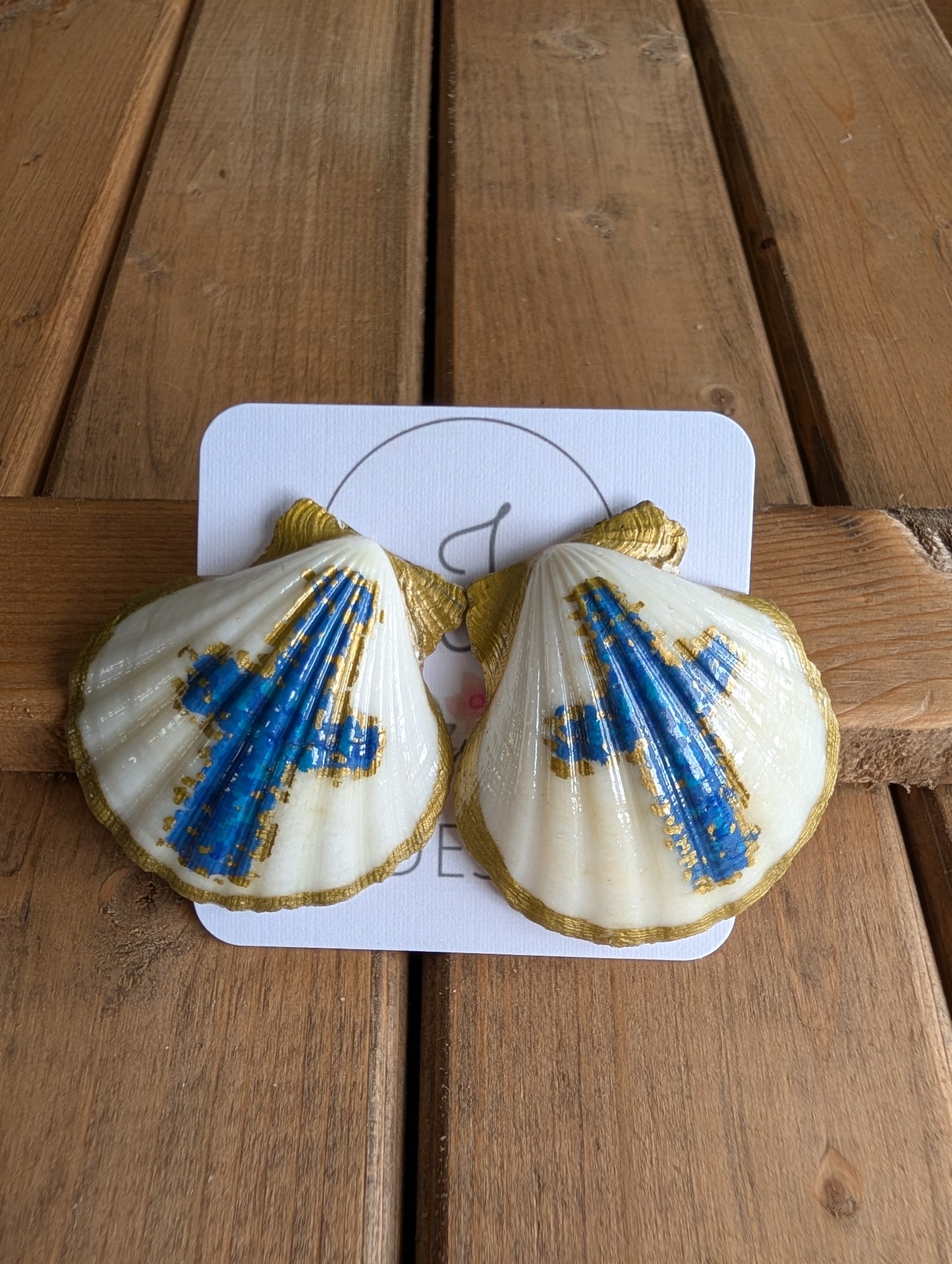 Seashell Earrings