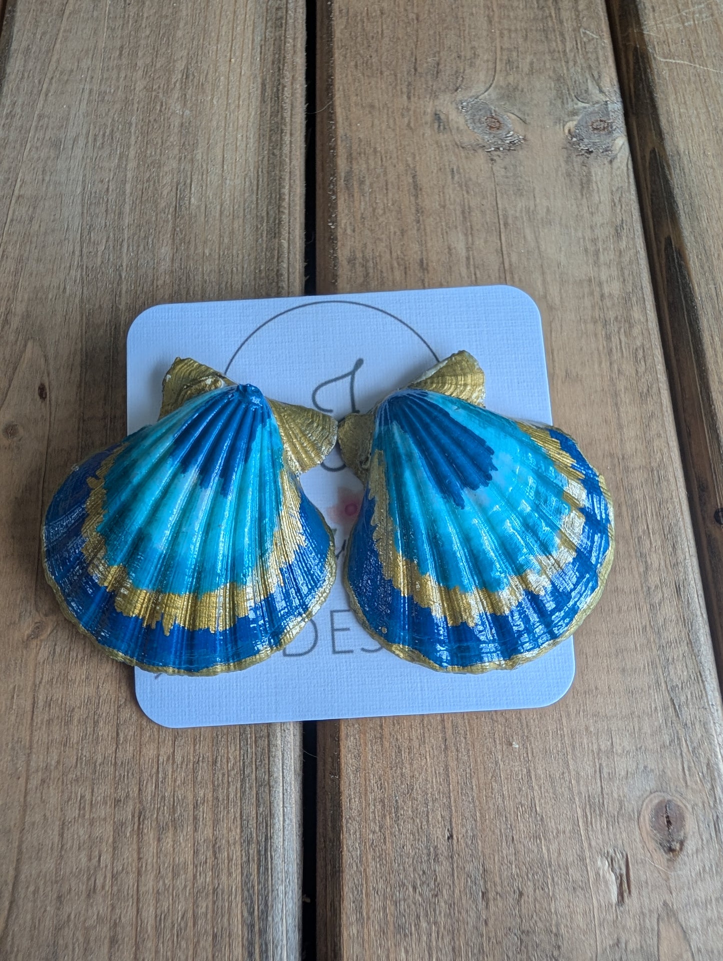 Seashell Earrings