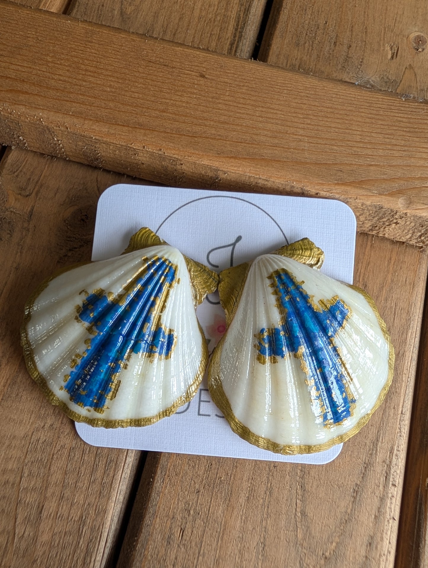 Seashell Earrings