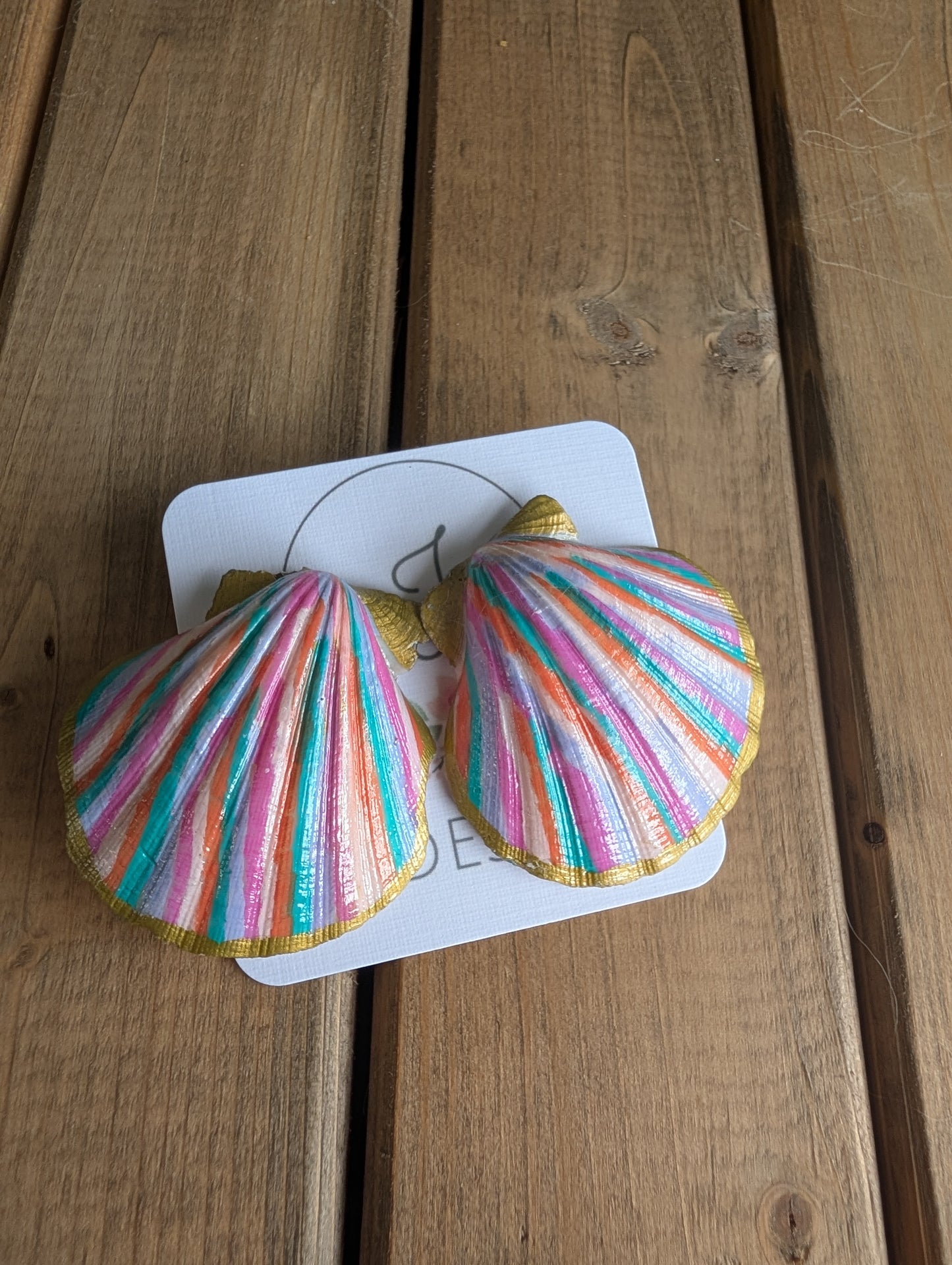 Seashell Earrings