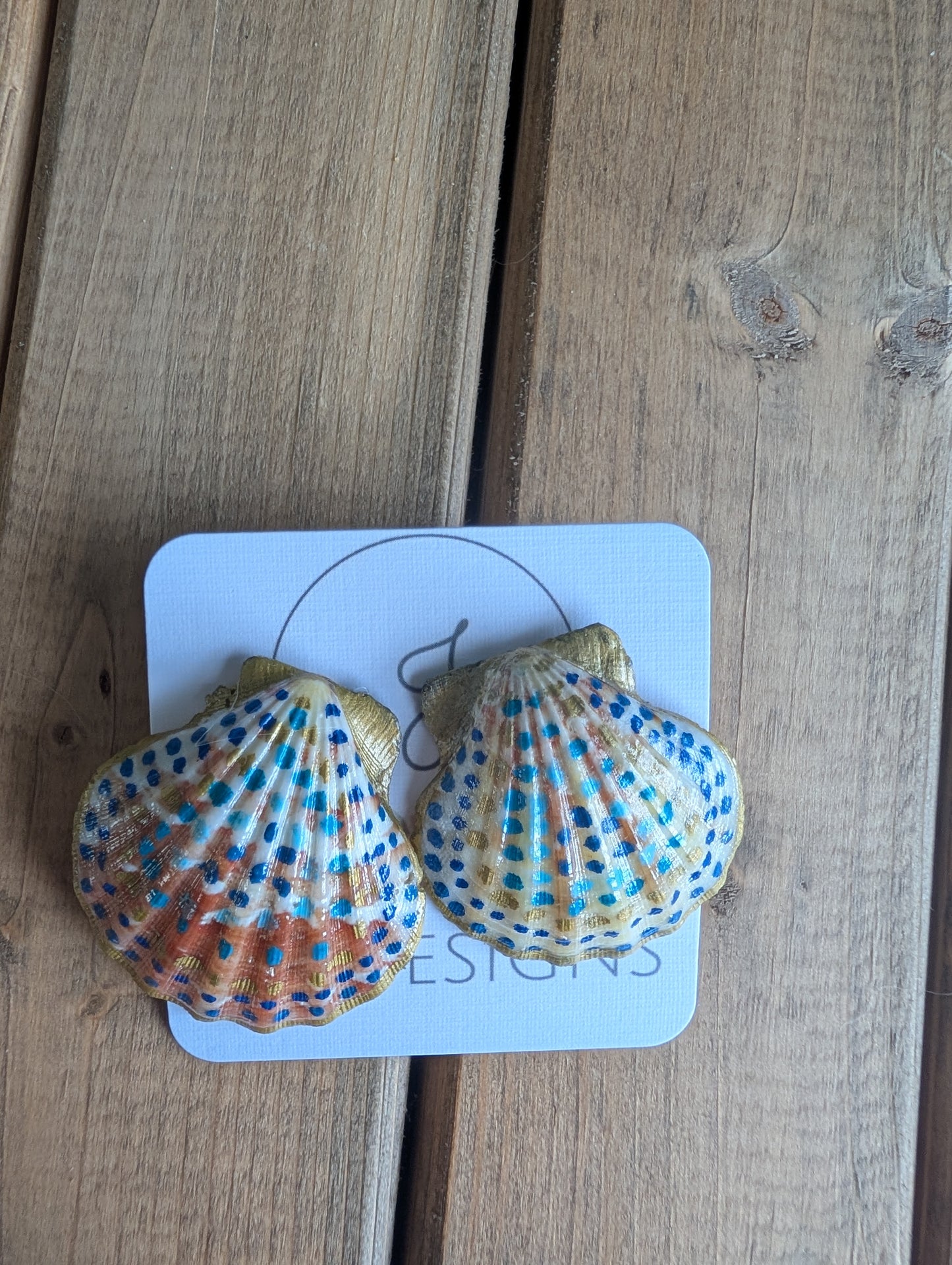 Seashell Earrings