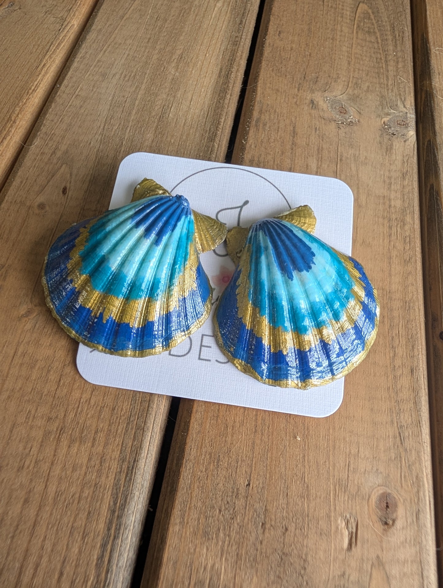 Seashell Earrings